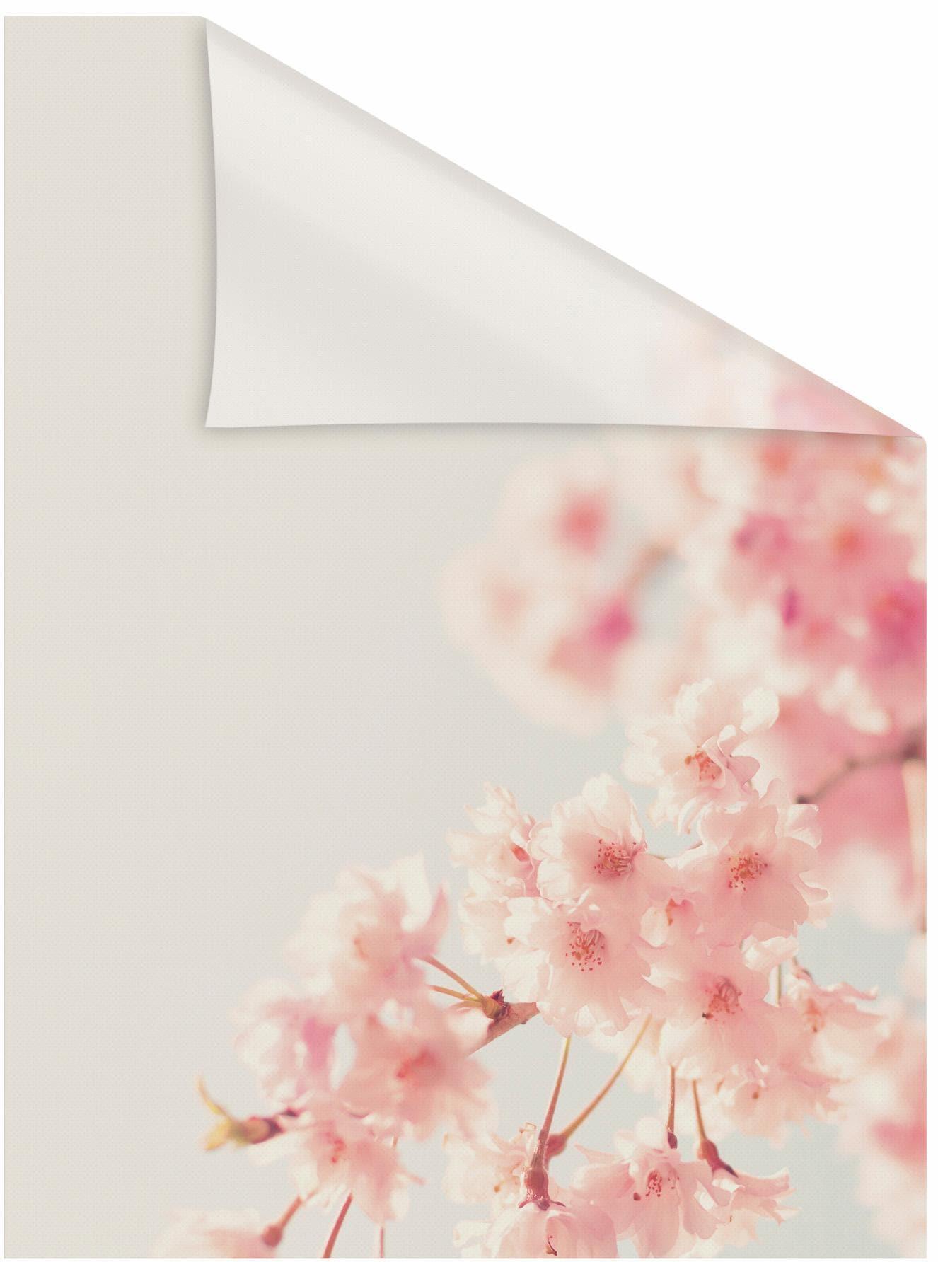 Fensterfolie LICHTBLICK ORIGINAL "Kirschbaum" Gr. 1, orange, B:50cm L:50cm, PVC, Fensterfolien, Fensterfolie, selbstklebend, Sichtschutz