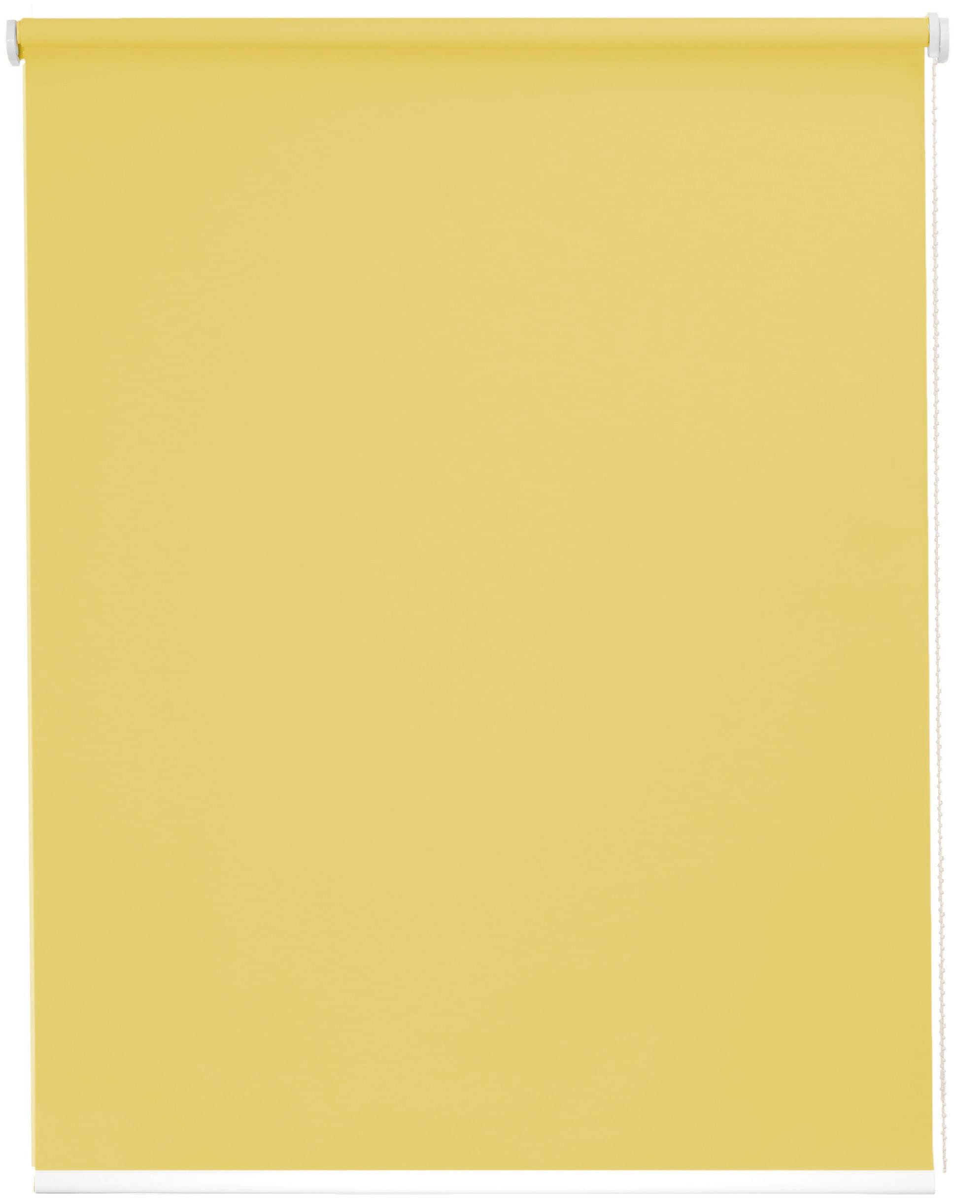 Seitenzugrollo SUNLINES "Young Style Blackout", grün (limone, weiß), B:122cm H:180cm, Aluminium, Kunststoff, Polyester, Rollos, Seitenzugrollo