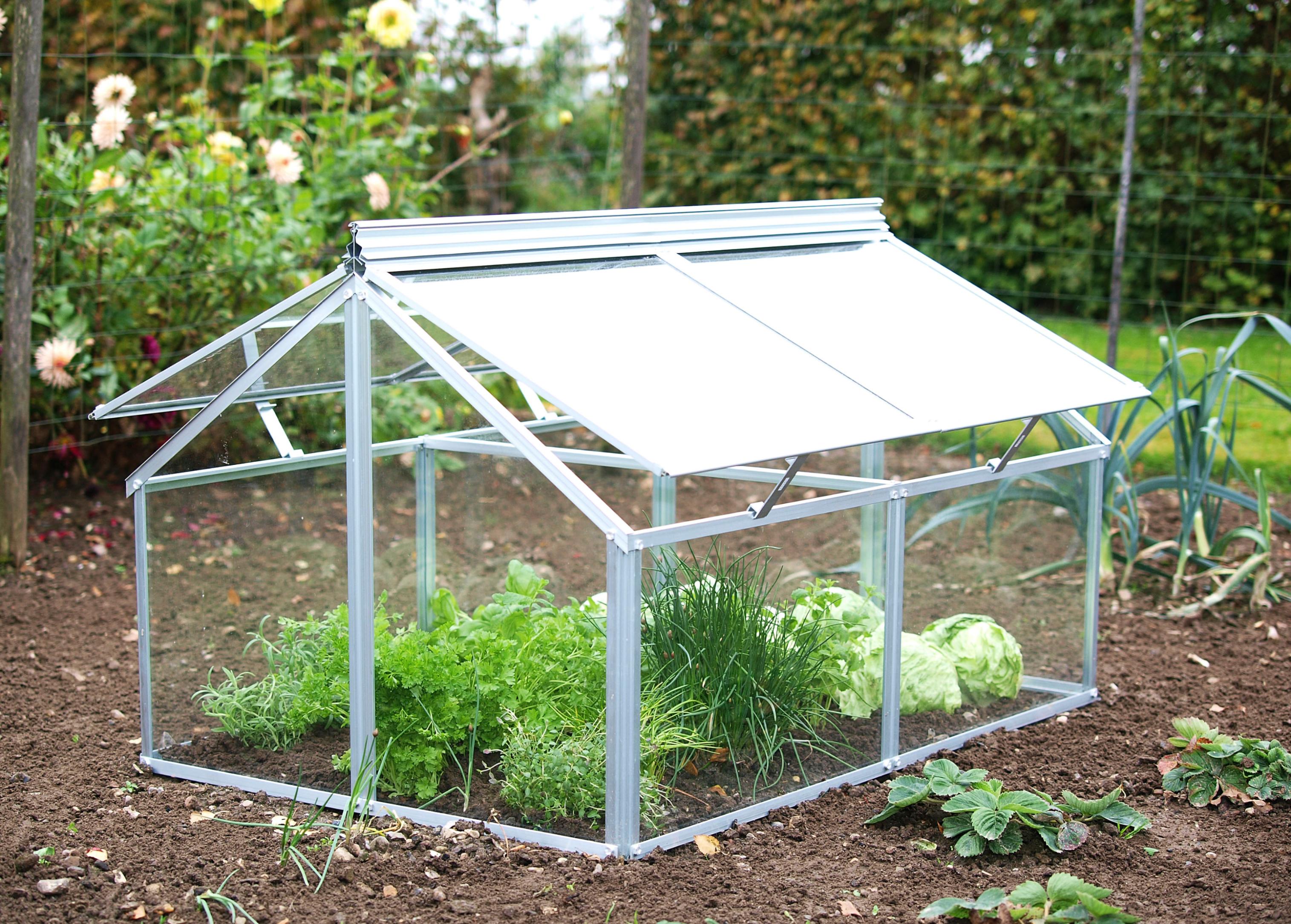 Frühbeet VITAVIA "Gaia Jumbo", silber (silberfarben), B:83,1cm H:71,9cm T:119,3cm, Pflanzgefäße, Frühbeet, BxTxH: 83x119x72 cm, ESG
