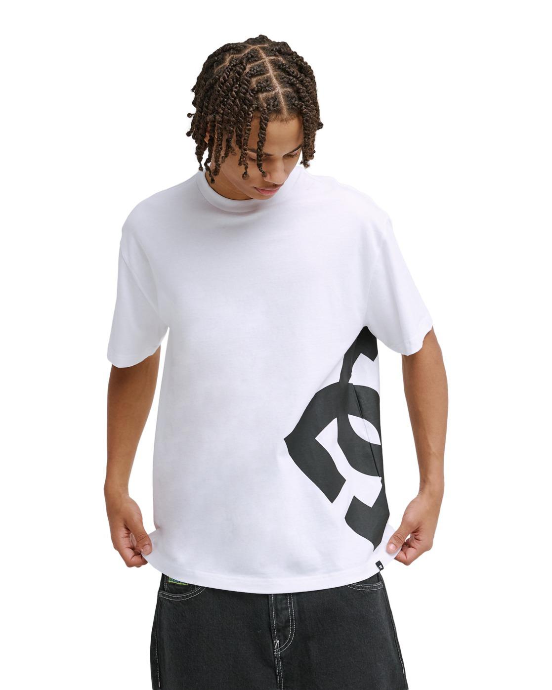T-Shirt DC Shoes "Dc Lanai", Herren, Gr. L, Weiß, Obermaterial: 75% Baumwolle, 25% Baumwolle., Shirts T-Shirt